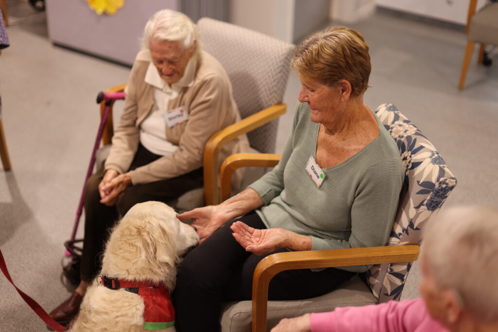 The link between dementia and mental health